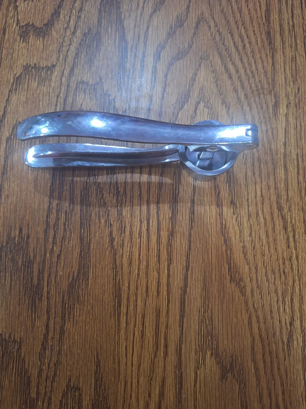 Stainless Steel Garlic Press - Silver